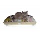 Small pet bed Woodys
