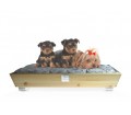 Dog and cat bed Woodys with handle and double face cushion