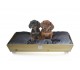 Dog and cat bed Woodys with handle and double face cushion