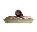 Pet bed with handle Woodys