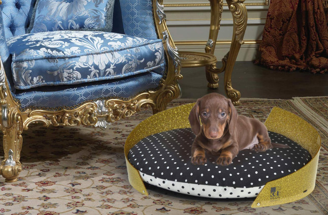 Fashion and luxury bed for dog and cat