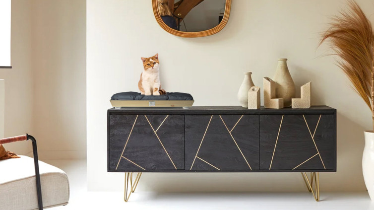 Pet bed with double face cushion