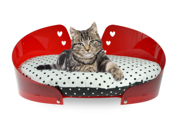 Cuccia-gatto-interno-design