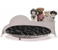 Small dogs and cats designer bed, indoor.