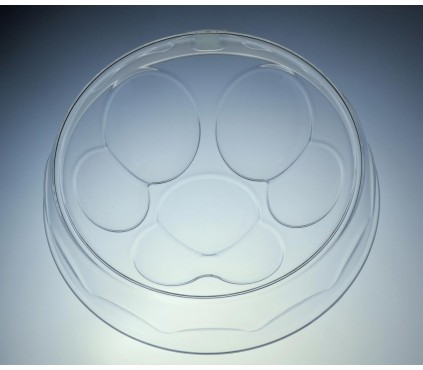 Luxury bowl, small dogs and cats with paw print design