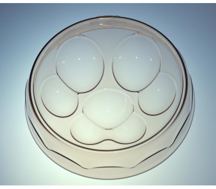 Luxury bowl for Chihuahua, small dogs and cats.