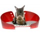 Luxury little basket for dogs and cats, designer bed with pillow.